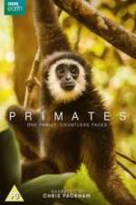 Primates