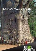 Africa's Trees of Life