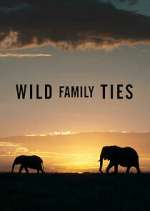 Wild Family Ties