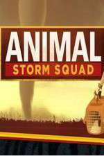 Animal Storm Squad