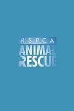 RSPCA Animal Rescue