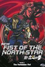 New Fist of the North Star