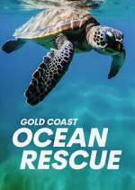 S1 E10 Gold Coast Ocean Rescue Season 1 Episode 10