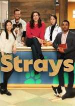 S2 E10 Strays Season 2 Episode 10