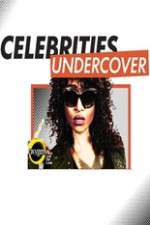 Celebrities Undercover