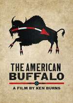 S1 E1 The American Buffalo Season 1 Episode 1