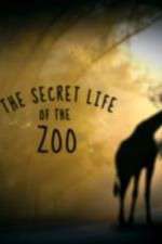 The Secret Life of the Zoo